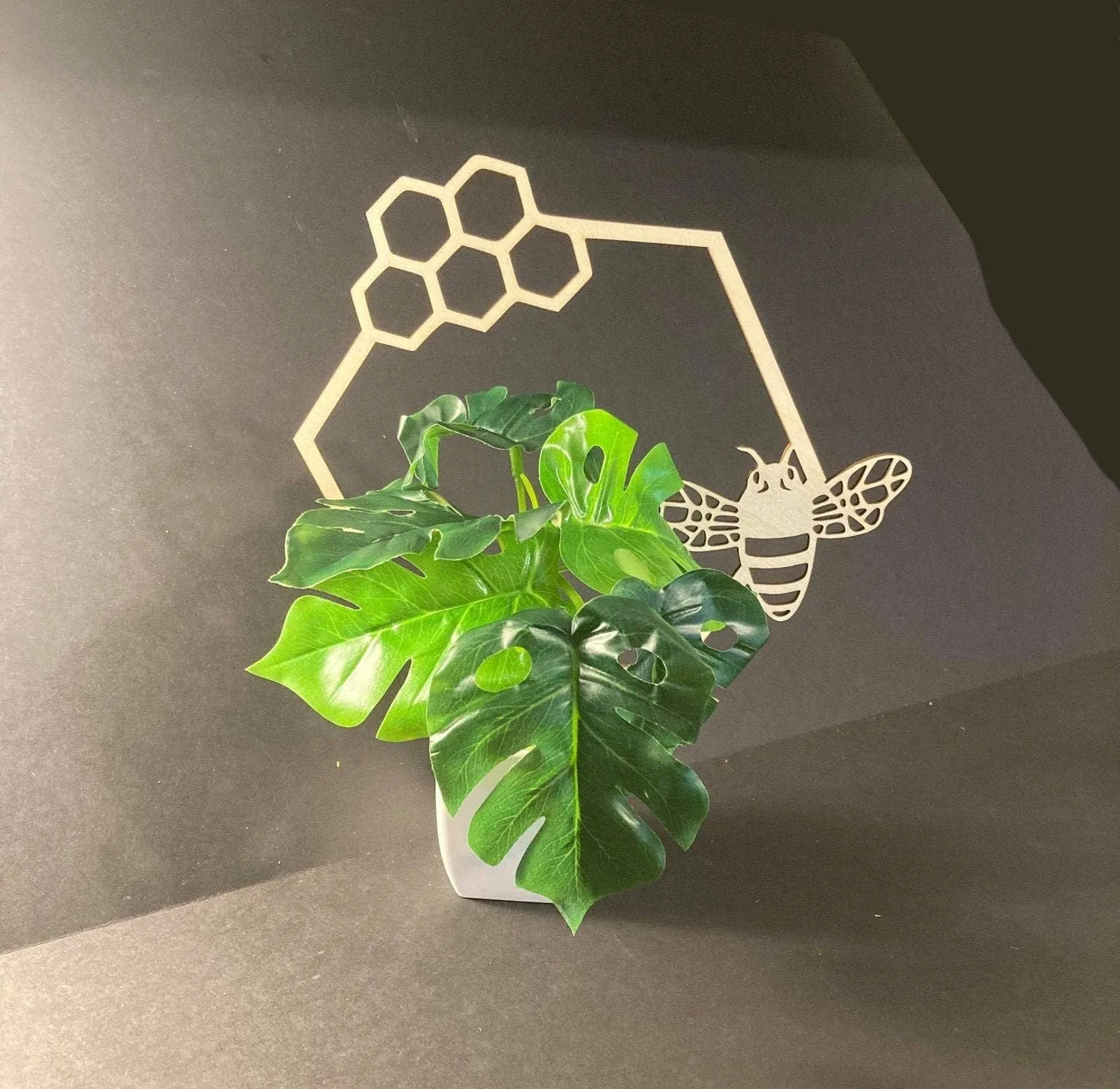 1/4 Thick |Honey Comb | Honey Bee | Plant Trellis | FAST SHIPPING | Honeycomb Houseplant Trellis | | Plant Lover Gift | Insured Shipping