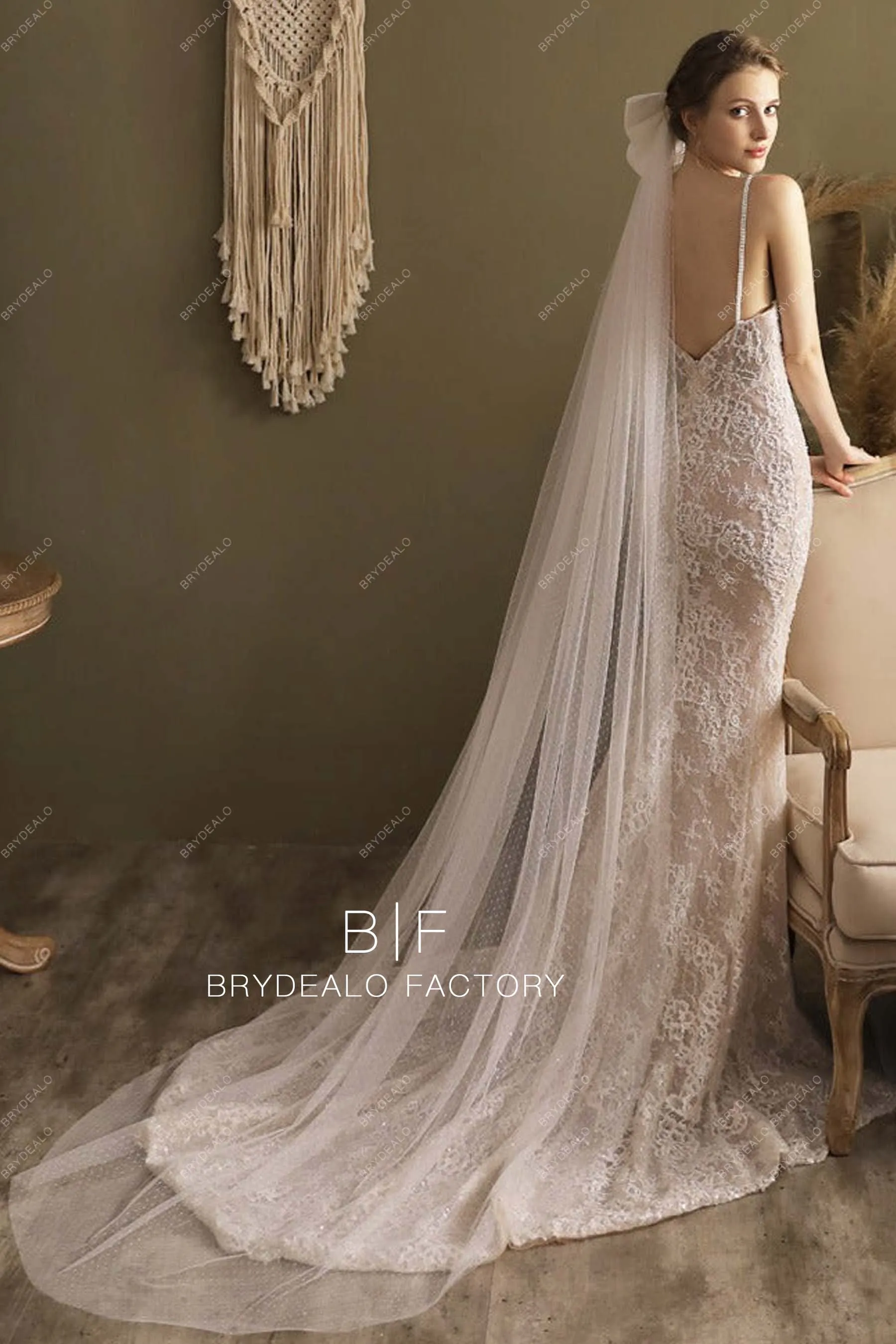 Big Bow Chapel Length Bridal Veil Dotted Wedding Veil
